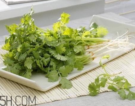 香菜根煮水能治濕疹嗎？香菜根煮水孕婦能喝嗎？