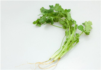 香菜根煮水能治濕疹嗎？香菜根煮水孕婦能喝嗎？