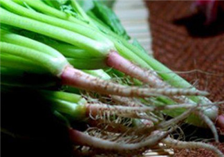 香菜根煮水能美白嗎？香菜根煮水能祛斑嗎？