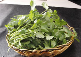 香菜根煮水能減肥嗎？香菜根煮水能天天喝嗎？