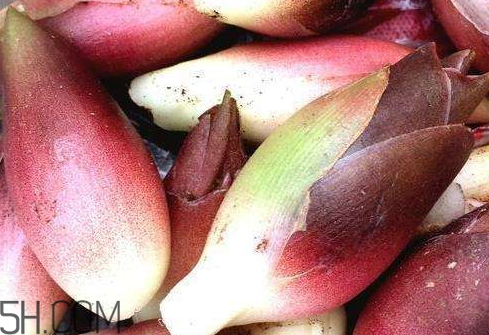 洋合筍多少錢一斤 洋合筍種子哪里有賣 洋合筍多少錢一斤 洋合筍種子哪里有賣