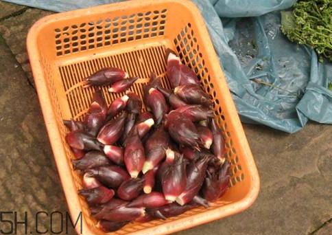 洋合筍多少錢一斤 洋合筍種子哪里有賣 洋合筍多少錢一斤 洋合筍種子哪里有賣