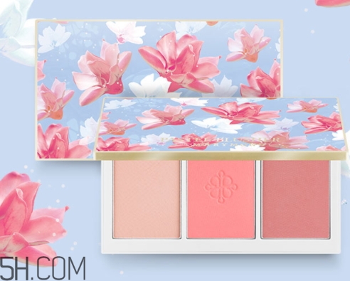 腮紅盤碎了怎么辦？腮紅盤摔碎了怎么修復