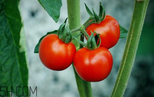 有效祛除痘印的方法？吃什么能夠去除痘痘呢？