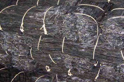 干海帶上面白的是什么 其實是一種珍貴的成分 干海帶上面白的是什么 其實是一種珍貴的成分