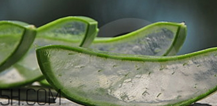 蘆薈膠祛痘效果好嗎？蘆薈膠真的會(huì)祛痘