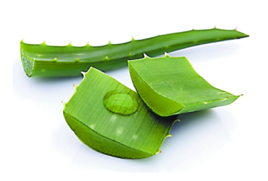 蘆薈面膜多久做一次最好？蘆薈敷臉不能過(guò)夜