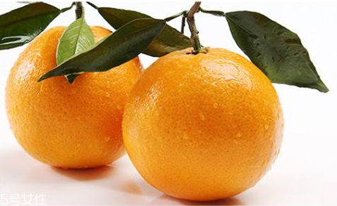 秭歸臍橙多少錢一斤 秭歸臍橙品種匯總 秭歸臍橙多少錢一斤 秭歸臍橙品種匯總