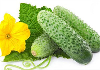 絲瓜和黃瓜的區(qū)別是什么？吃絲瓜的注意事項(xiàng)