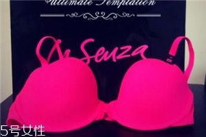 la senza是什么牌子？來自加拿大的頂尖內(nèi)衣