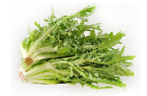 苦菊小孩能吃嗎？小孩吃苦菊促進(jìn)腦部發(fā)育