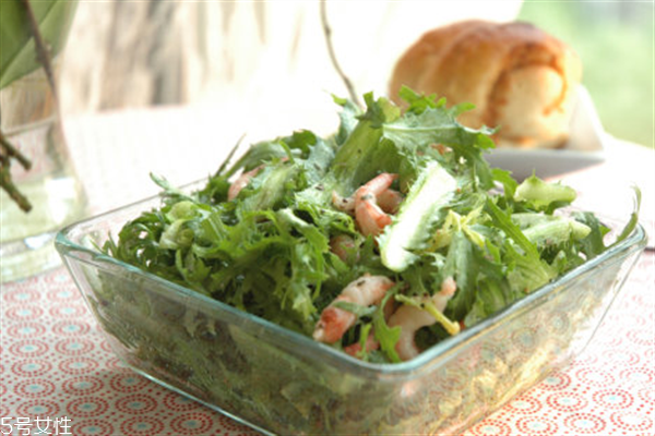 苦菊可以生吃嗎？營(yíng)養(yǎng)健康苦菊菜做法