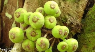 牛奶果皮能吃嗎？