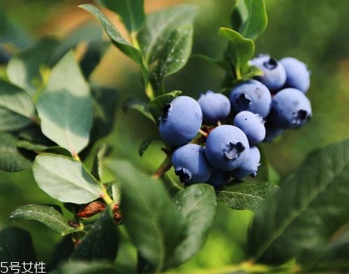 買的畸形水果能吃嗎？最好以貌取人