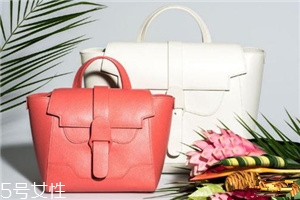 senreve包包多少錢？堪比lv的包包潛力股