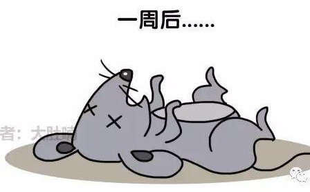 自然堂隔離霜孕婦可以用嗎？含有孕婦禁用成分