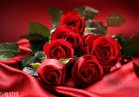 2018情人節(jié)玫瑰花多少錢一朵 玫瑰花的愛情寓意 2018情人節(jié)玫瑰花多少錢一朵 玫瑰花的愛情寓意