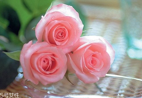 2018情人節(jié)玫瑰花多少錢一朵 玫瑰花的愛情寓意 2018情人節(jié)玫瑰花多少錢一朵 玫瑰花的愛情寓意