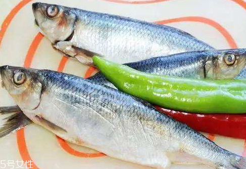 青魚(yú)是淡水魚(yú)還是海魚(yú) 青魚(yú)的介紹