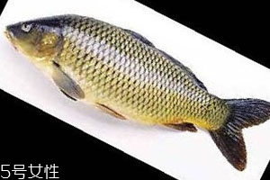 青魚(yú)是淡水魚(yú)還是海魚(yú) 青魚(yú)的介紹