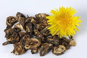 蒲公英泡茶可以放糖嗎？不要只看重味道