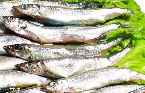 多春魚是河魚還是海魚 深海魚的一種 多春魚是河魚還是海魚 深海魚的一種