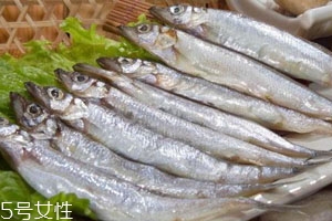 多春魚可以水煮嗎 多春魚食譜推薦 多春魚可以水煮嗎 多春魚食譜推薦