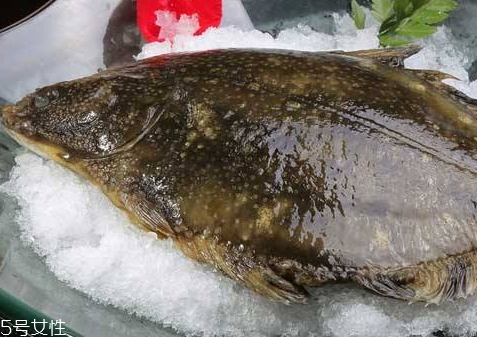 多寶魚(yú)可以冷凍嗎 冷凍保存時(shí)間更長(zhǎng) 多寶魚(yú)可以冷凍嗎 冷凍保存時(shí)間更長(zhǎng)