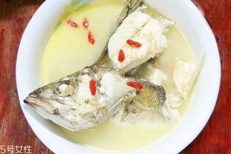 魚湯用什么魚好 這三種魚最好 魚湯用什么魚好 這三種魚最好