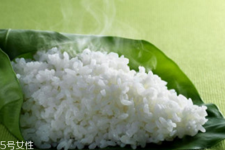 熱水煮飯還是冷水煮飯好？這樣煮飯更好吃