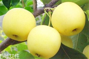 哺乳期吃梨有什么好處？梨子能做面膜