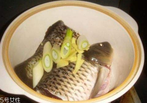 魚湯用什么魚好 這三種魚最好 魚湯用什么魚好 這三種魚最好