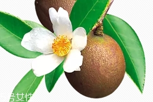 精油開背有什么好處 精油過(guò)敏怎么處理方法 精油開背有什么好處 精油過(guò)敏怎么處理方法