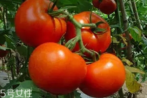 空腹不能吃什么？這4種最好不要吃