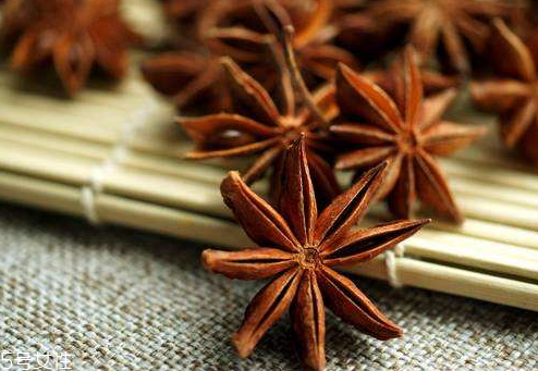 八角什么時(shí)候成熟 上市時(shí)間 八角什么時(shí)候成熟 上市時(shí)間
