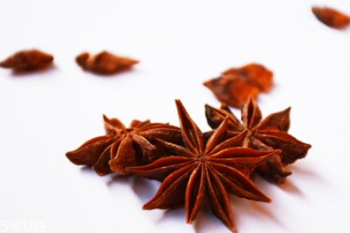 八角什么時(shí)候成熟 上市時(shí)間 八角什么時(shí)候成熟 上市時(shí)間