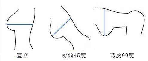 胸型有哪幾種圖解 對(duì)應(yīng)內(nèi)衣怎么選擇 胸型有哪幾種圖解 對(duì)應(yīng)內(nèi)衣怎么選擇