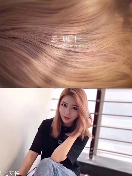 秋冬流行發(fā)色推薦 總有一款你喜歡的發(fā)色 秋冬流行發(fā)色推薦 總有一款你喜歡的發(fā)色