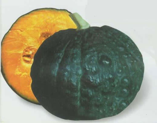 日本南瓜的營養(yǎng)價值 這樣挑選更新鮮 日本南瓜的營養(yǎng)價值 這樣挑選更新鮮