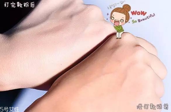 紀梵希散粉和悅詩風(fēng)吟散粉哪個好？