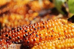 烤箱烤玉米溫度和時間 烤箱烤玉米技巧 烤箱烤玉米溫度和時間 烤箱烤玉米技巧