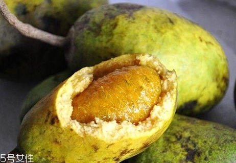 牛卵坨籽可以吃嗎？看看它的神奇功效