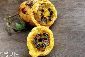 牛卵坨的營養(yǎng)價(jià)值 牛卵坨的功效作用