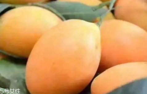 枇杷芒多少錢一斤？品質(zhì)越好價格越貴