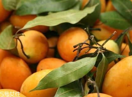 枇杷芒怎么吃？枇杷芒的皮可以吃