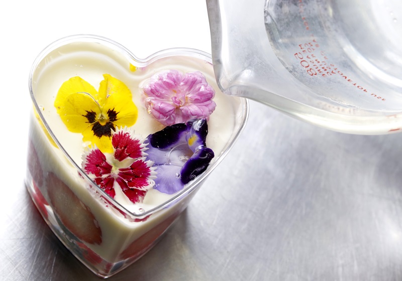 可以吃的花有哪些圖片 好看又好吃 可以吃的花有哪些圖片 好看又好吃