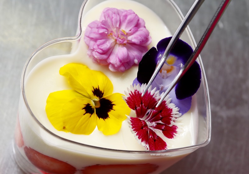 可以吃的花有哪些圖片 好看又好吃 可以吃的花有哪些圖片 好看又好吃