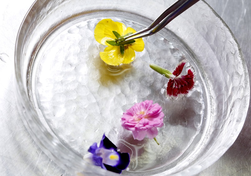 可以吃的花有哪些圖片 好看又好吃 可以吃的花有哪些圖片 好看又好吃