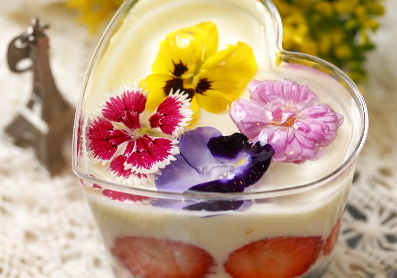 可以吃的花有哪些圖片 好看又好吃 可以吃的花有哪些圖片 好看又好吃