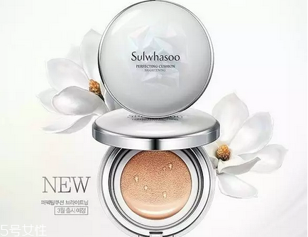 雪花秀氣墊適合干皮嗎？韓國氣墊界的冠軍